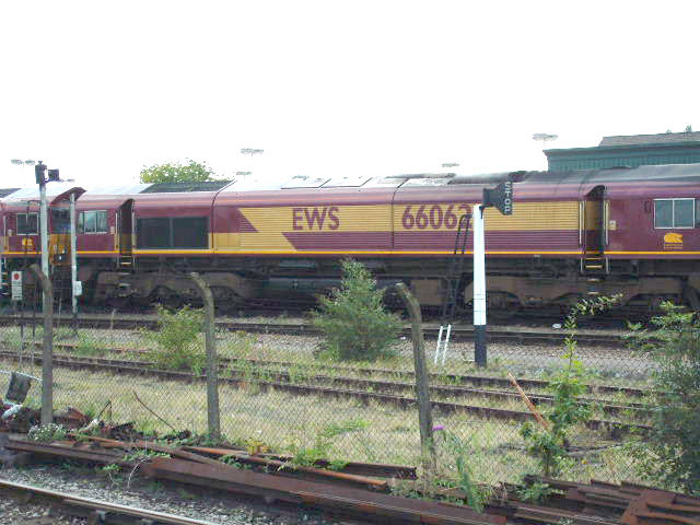 DSCF0135