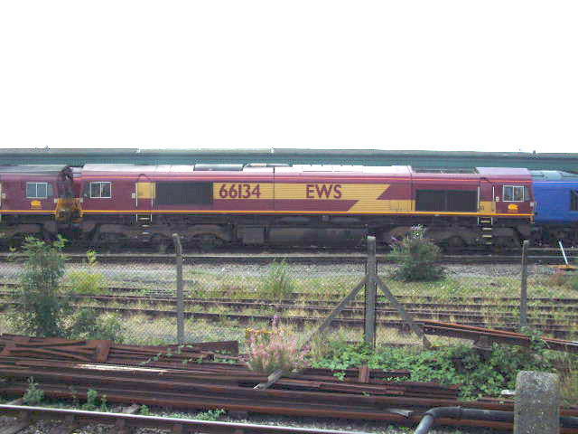 DSCF0136