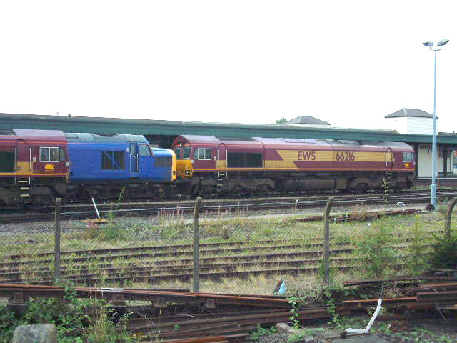 DSCF0137