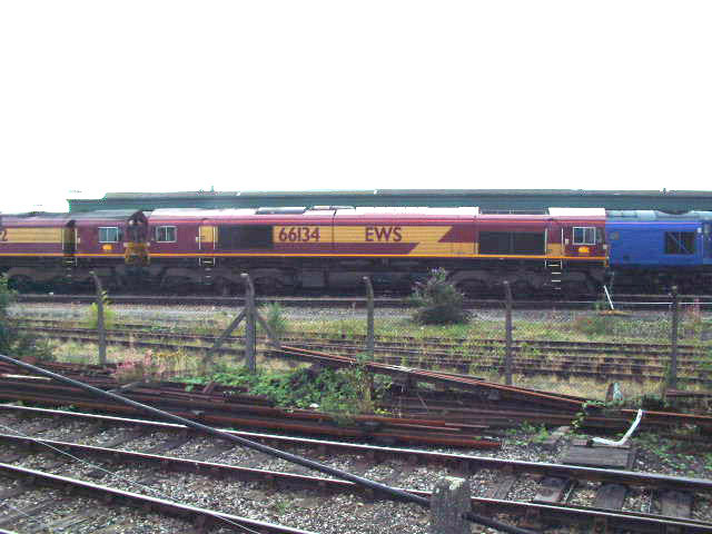 DSCF0140