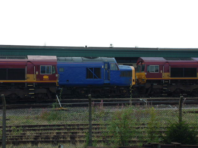 DSCF0141
