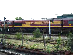 DSCF0135