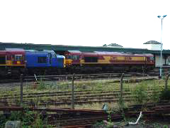 DSCF0137