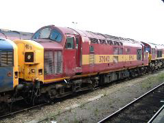 DSCF0142