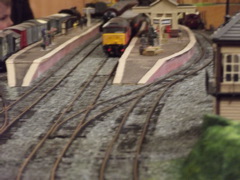 DSCF0545
