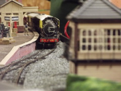 DSCF0568
