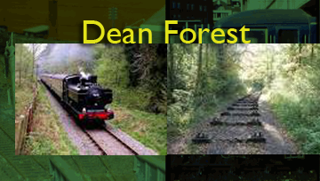 deanforest